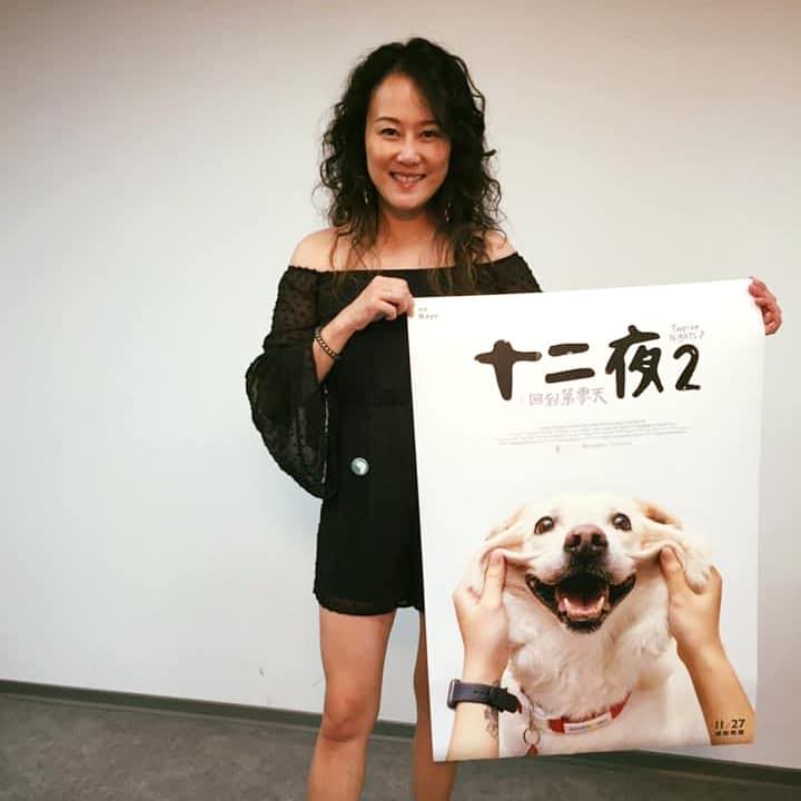 聶琳