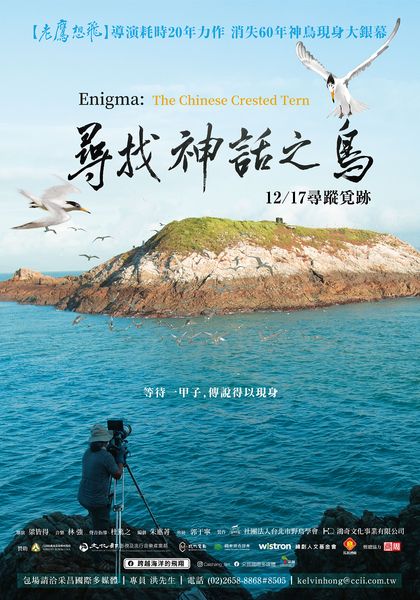 尋找神話之鳥劇照