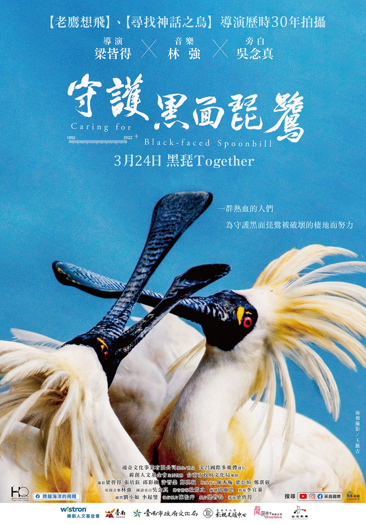 守護黑面琵鷺劇照