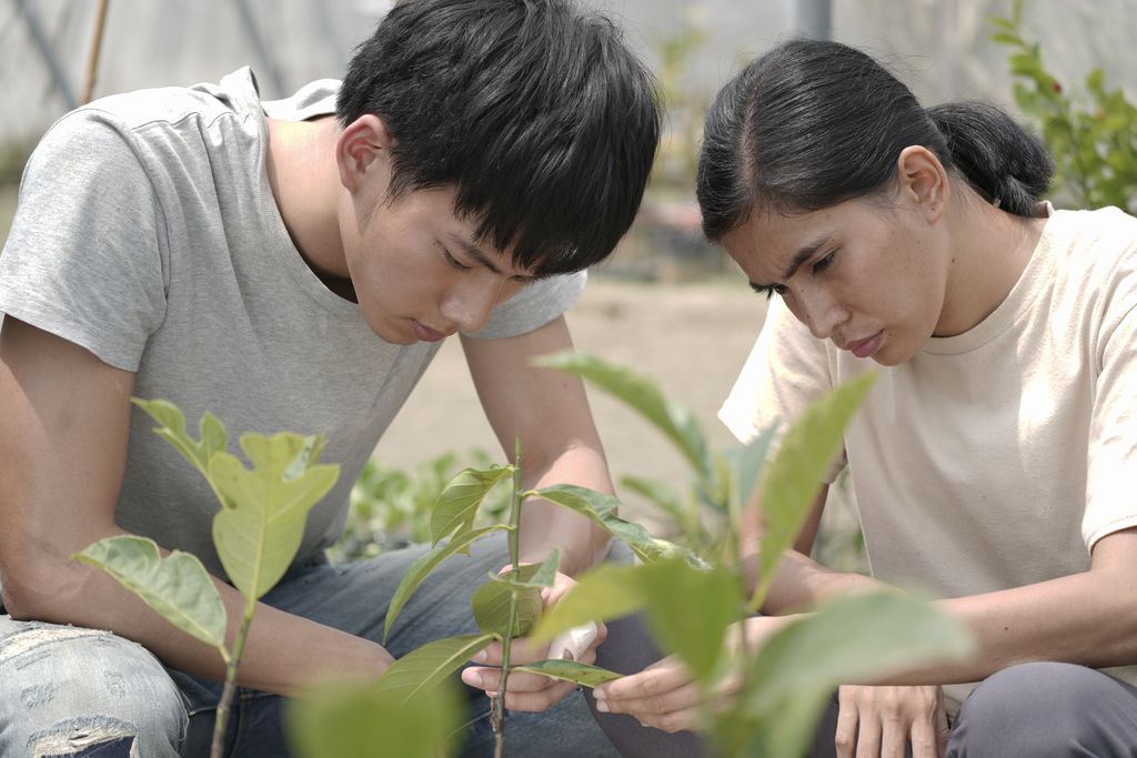 菠蘿蜜劇照