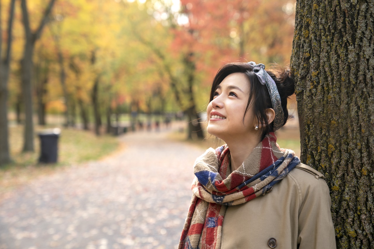 跟你老婆去旅行劇照