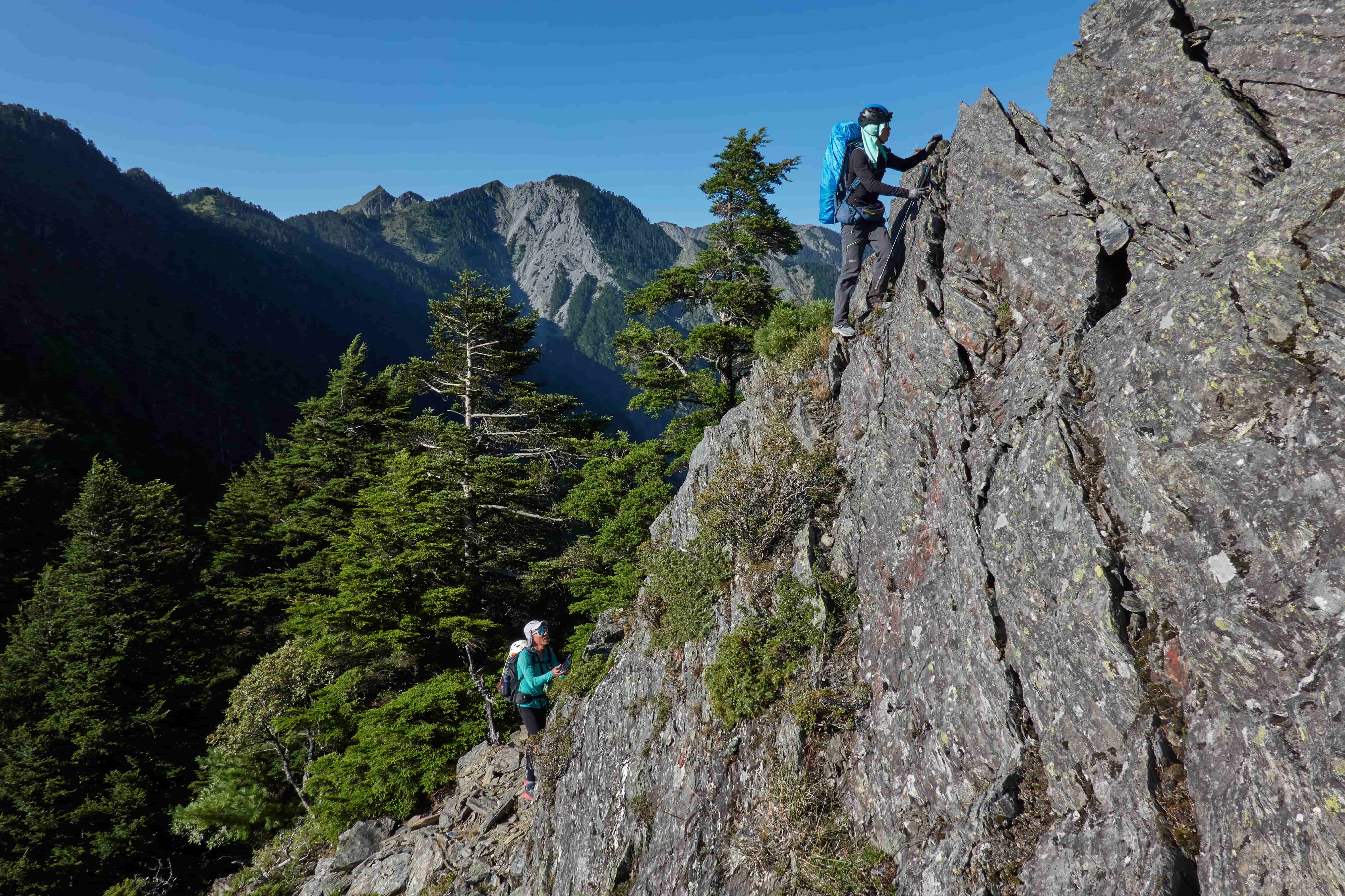 赤心巔峰劇照