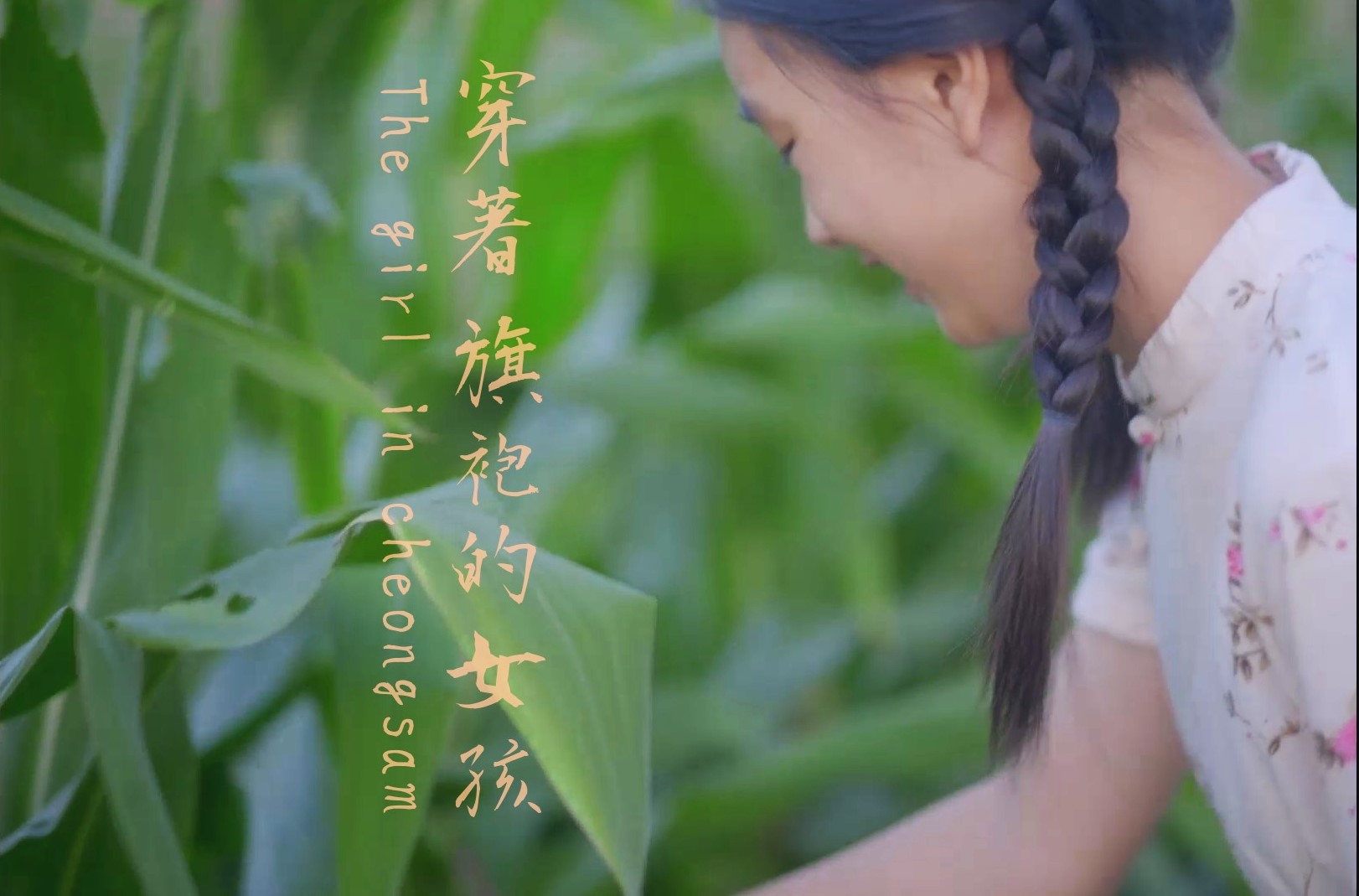 穿著旗袍的女孩劇照