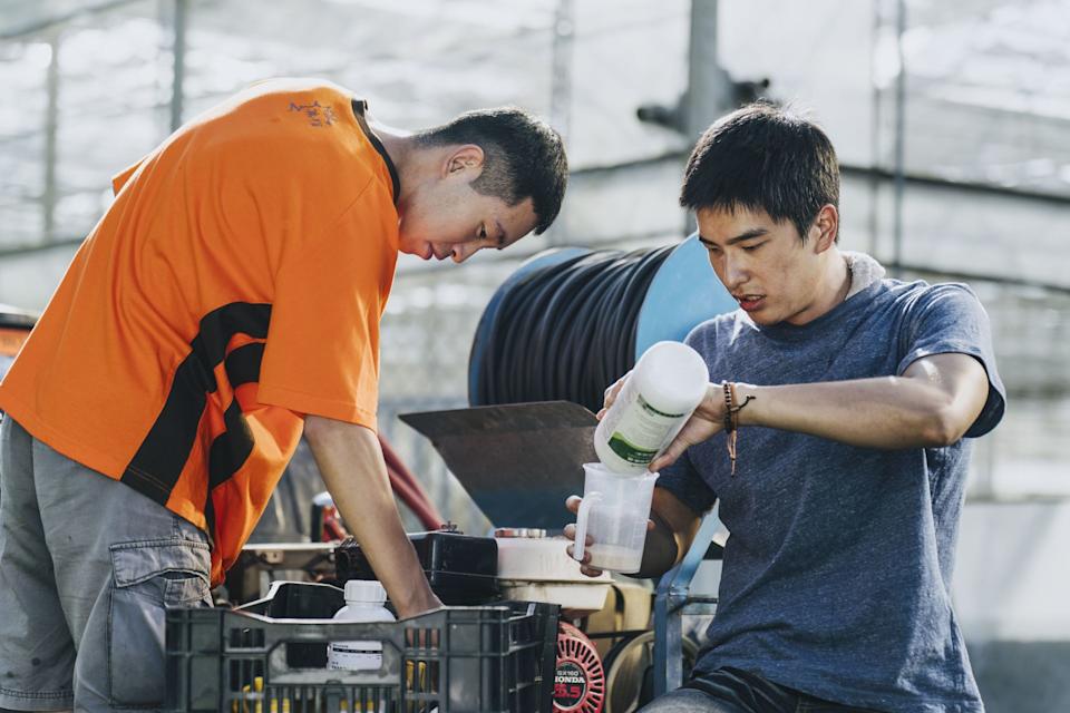 失樂園劇照